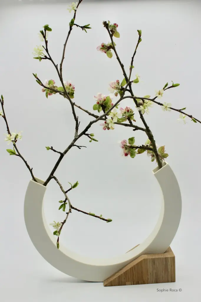 Vase Equilibre.webp