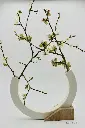 Vase Equilibre.webp